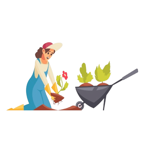 MMH Vert quelle fréquence d'entretien pour un jardin